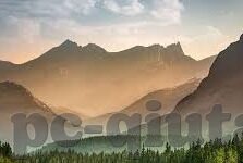 捷报比分足球预测-捷报比分，足球预测领域的智慧领航者